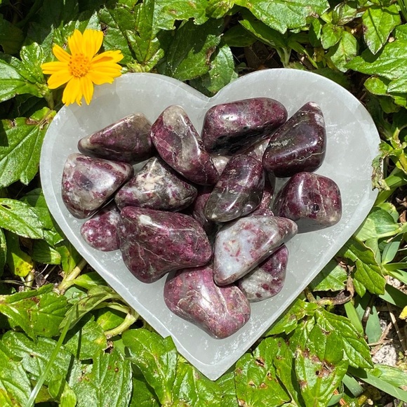 (2) Tumbled Rubellite Stones - Picture 1 of 2